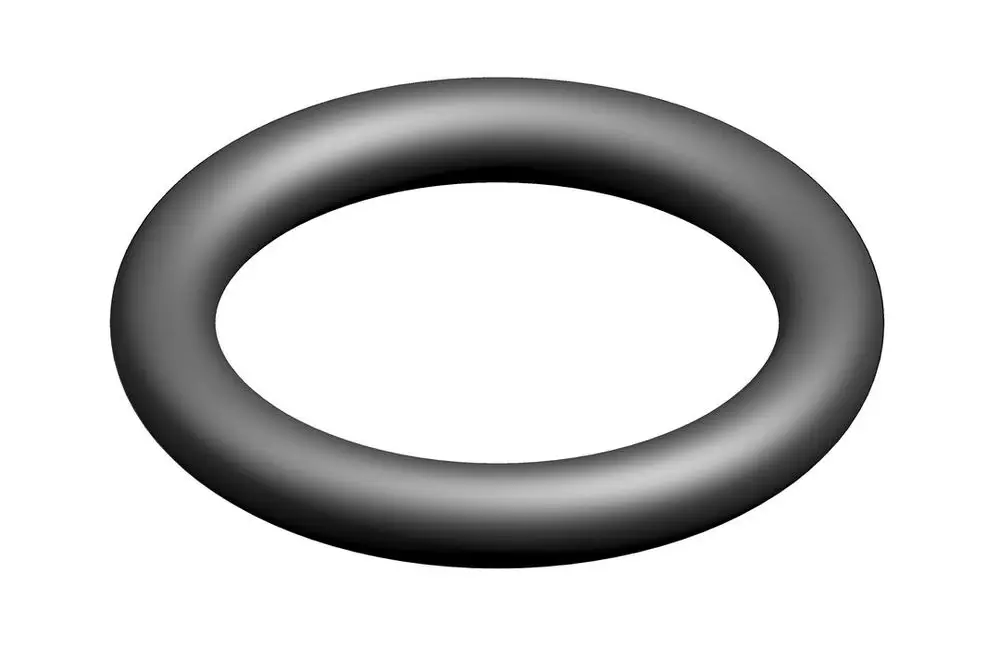 Schwarzer O-Ring von Bosch, runde Form mit durchgehendem, gleichmäßigem Querschnitt, auf weißem Hintergrund.